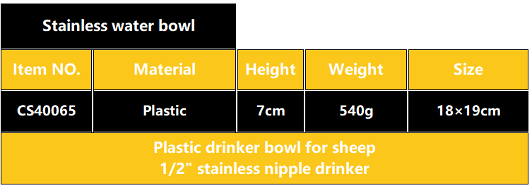 英文2.PNG